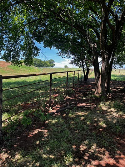 Agricultural Fence Installation Services