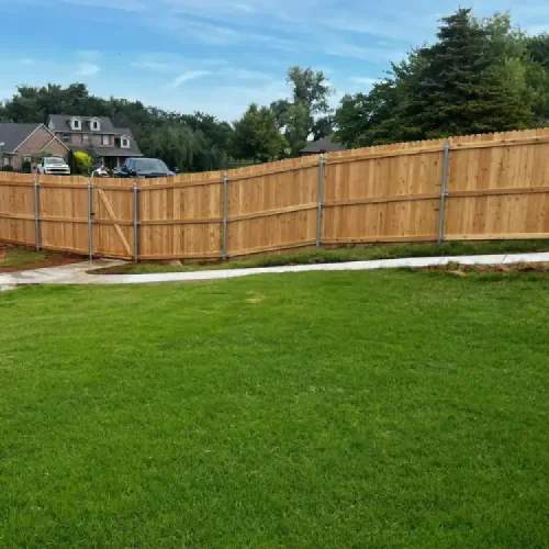 privacy fence